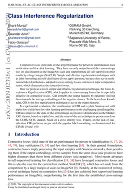 Class Interference Regularization
