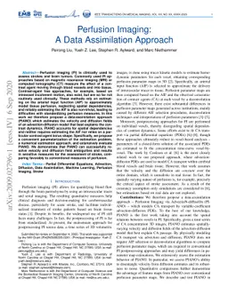 Perfusion Imaging: A Data Assimilation Approach