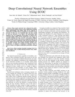 Deep Convolutional Neural Network Ensembles using ECOC