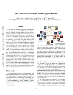 CoKe: Localized Contrastive Learning for Robust Keypoint Detection