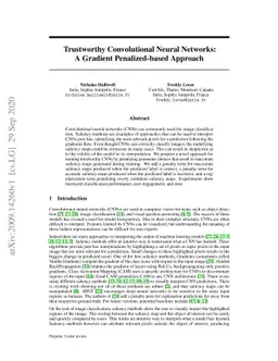 Trustworthy Convolutional Neural Networks: A Gradient Penalized-based
  Approach