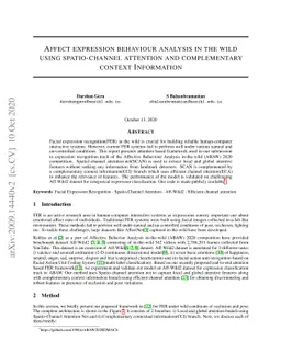 Affect Expression Behaviour Analysis in the Wild using Spatio-Channel
  Attention and Complementary Context Information