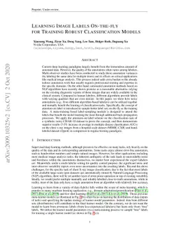 Learning Image Labels On-the-fly for Training Robust Classification
  Models