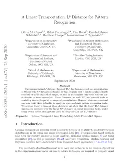 A Linear Transportation $\mathrm{L}^p$ Distance for Pattern Recognition