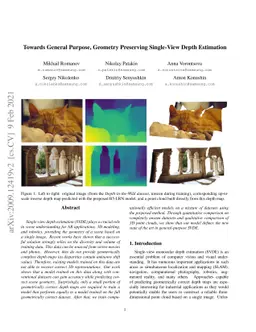 Towards General Purpose Geometry-Preserving Single-View Depth Estimation