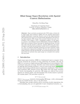 Blind Image Super-Resolution with Spatial Context Hallucination