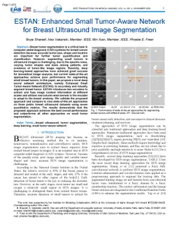ESTAN: Enhanced Small Tumor-Aware Network for Breast Ultrasound Image
  Segmentation