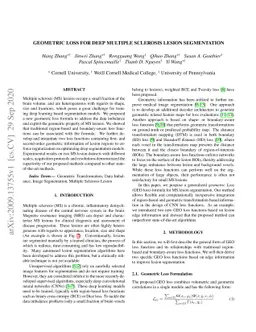 Geometric Loss for Deep Multiple Sclerosis lesion Segmentation