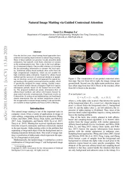Natural Image Matting via Guided Contextual Attention