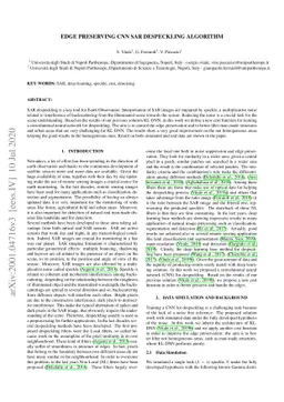 Edge Preserving CNN SAR Despeckling Algorithm