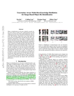 Uncertainty-Aware Multi-Shot Knowledge Distillation for Image-Based
  Object Re-Identification