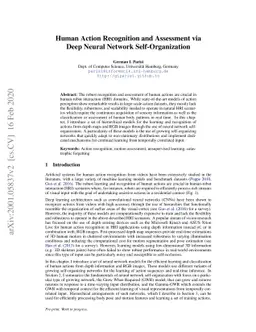 Human Action Recognition and Assessment via Deep Neural Network
  Self-Organization