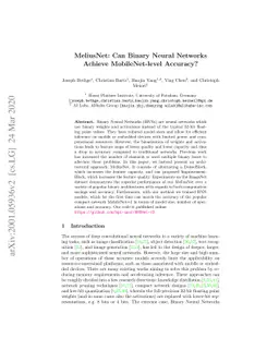 MeliusNet: Can Binary Neural Networks Achieve MobileNet-level Accuracy?