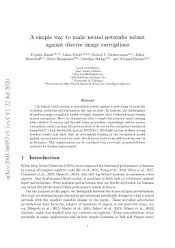 A simple way to make neural networks robust against diverse image
  corruptions