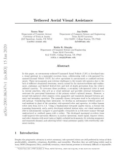 Tethered Aerial Visual Assistance
