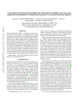 A One-Shot Learning Framework for Assessment of Fibrillar Collagen from
  Second Harmonic Generation Images of an Infarcted Myocardium