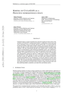 Kernel of CycleGAN as a Principle homogeneous space