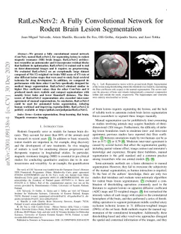 RatLesNetv2: A Fully Convolutional Network for Rodent Brain Lesion
  Segmentation