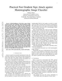 Practical Fast Gradient Sign Attack against Mammographic Image
  Classifier