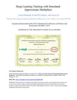 Deep Learning Training with Simulated Approximate Multipliers