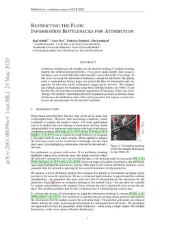 Restricting the Flow: Information Bottlenecks for Attribution