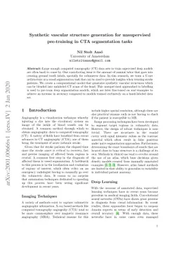 Synthetic vascular structure generation for unsupervised pre-training in
  CTA segmentation tasks