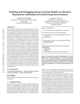 Auditing and Debugging Deep Learning Models via Decision Boundaries:
  Individual-level and Group-level Analysis