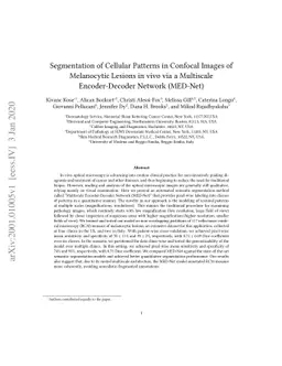 Segmentation of Cellular Patterns in Confocal Images of Melanocytic
  Lesions in vivo via a Multiscale Encoder-Decoder Network (MED-Net)