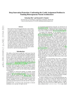Deep Innovation Protection: Confronting the Credit Assignment Problem in
  Training Heterogeneous Neural Architectures