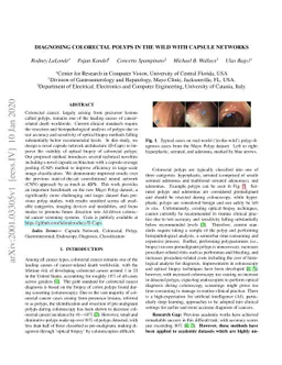 Diagnosing Colorectal Polyps in the Wild with Capsule Networks