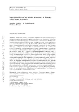 Interpretable feature subset selection: A Shapley value based approach