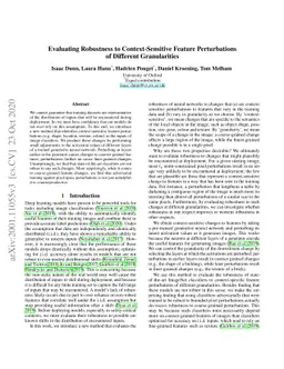 Evaluating Robustness to Context-Sensitive Feature Perturbations of
  Different Granularities