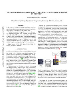 The Ladder Algorithm: Finding Repetitive Structures in Medical Images by
  Induction