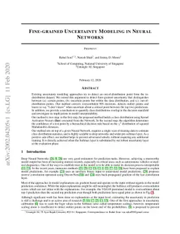 Fine-grained Uncertainty Modeling in Neural Networks