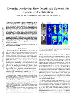 Diversity-Achieving Slow-DropBlock Network for Person Re-Identification