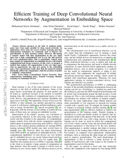 Efficient Training of Deep Convolutional Neural Networks by Augmentation
  in Embedding Space