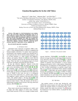 Emotion Recognition for In-the-wild Videos