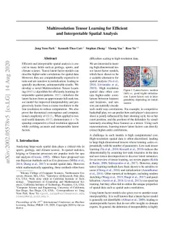 Multiresolution Tensor Learning for Efficient and Interpretable Spatial
  Analysis