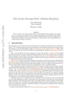 Why Do Line Drawings Work? A Realism Hypothesis