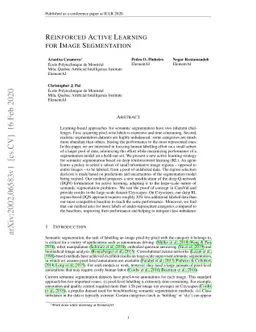 Reinforced active learning for image segmentation