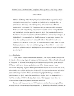 Resource-Frugal Classification and Analysis of Pathology Slides Using
  Image Entropy