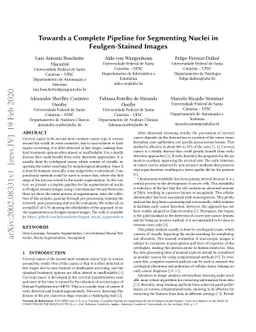 Towards a Complete Pipeline for Segmenting Nuclei in Feulgen-Stained
  Images