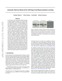Automatic Shortcut Removal for Self-Supervised Representation Learning