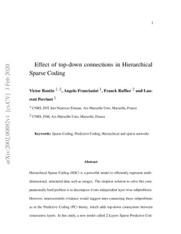 Effect of top-down connections in Hierarchical Sparse Coding