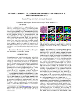 Bending Loss Regularized Network for Nuclei Segmentation in
  Histopathology Images