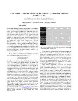 Stan: Small tumor-aware network for breast ultrasound image segmentation