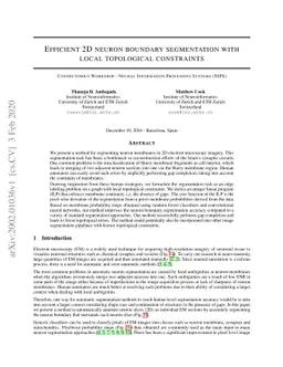 Efficient 2D neuron boundary segmentation with local topological
  constraints