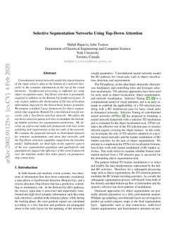 Selective Segmentation Networks Using Top-Down Attention