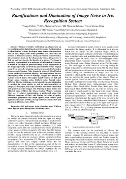 Ramifications and Diminution of Image Noise in Iris Recognition System