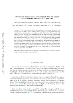 Intrinsic Dimension Estimation via Nearest Constrained Subspace
  Classifier